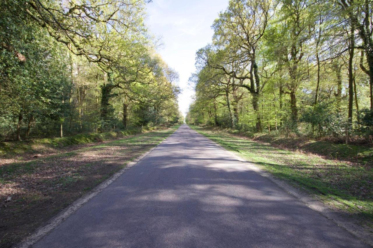 Avondale New Forest Godshill  ภายนอก รูปภาพ