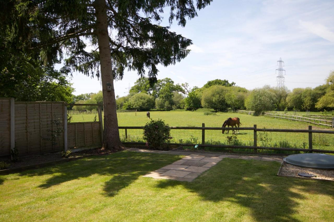 Avondale New Forest Godshill  ภายนอก รูปภาพ