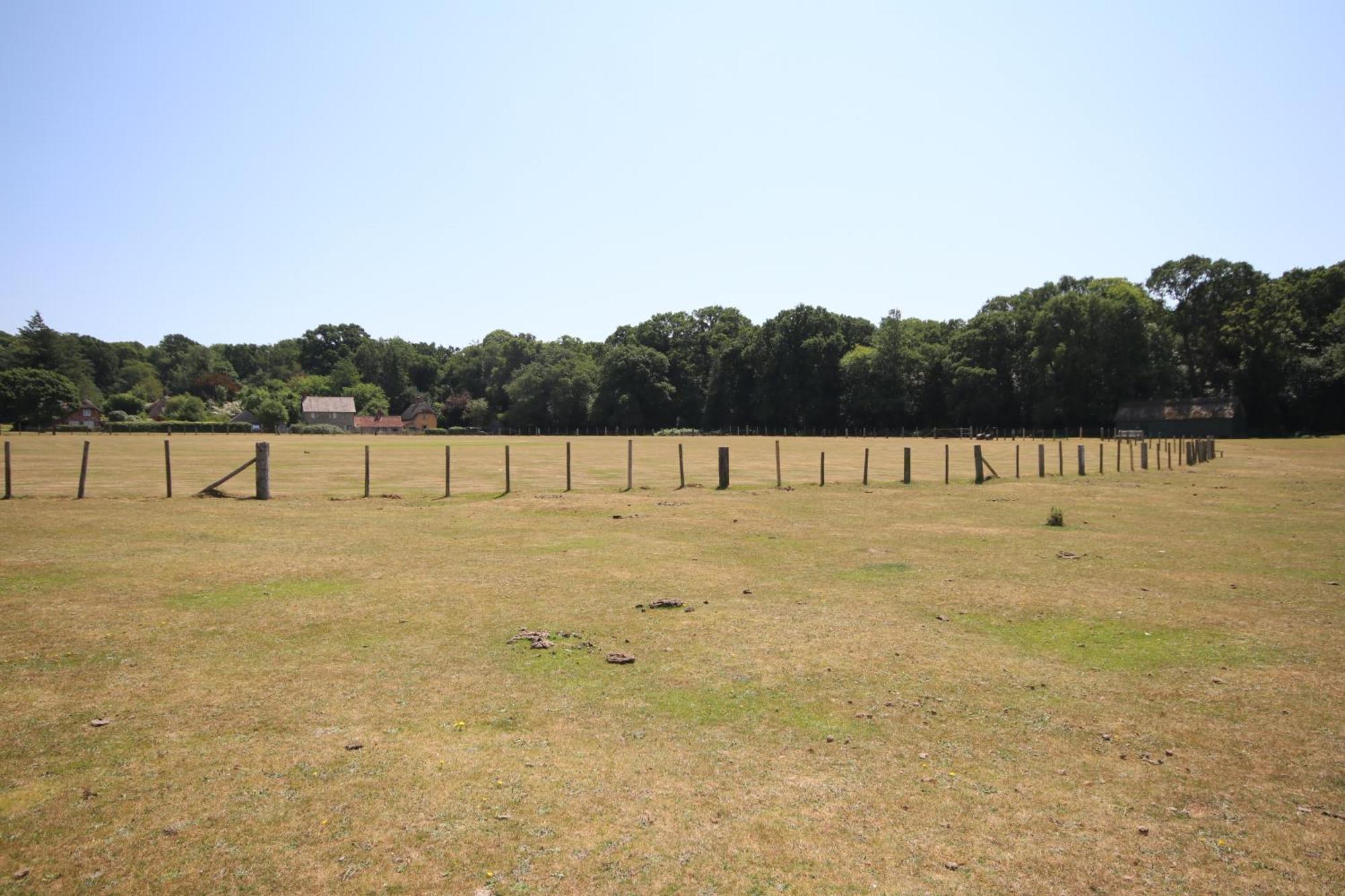 Avondale New Forest Godshill  ภายนอก รูปภาพ